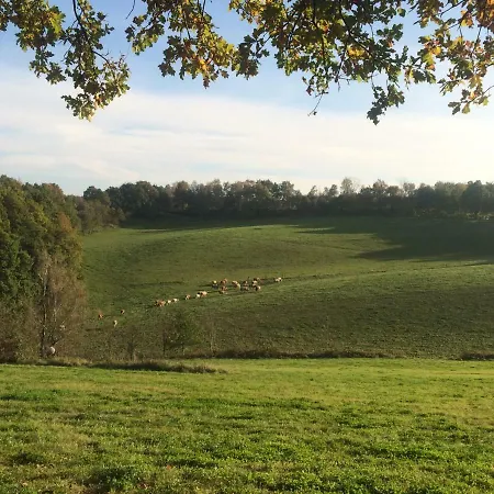 Apartment Kleine Im Grünen