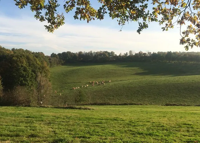 Apartment Kleine Im Grünen